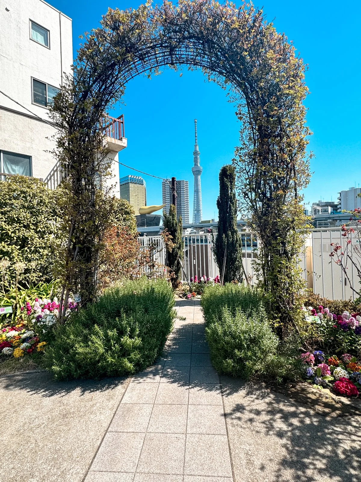 2026 JAPAN FAMILY-62.jpg