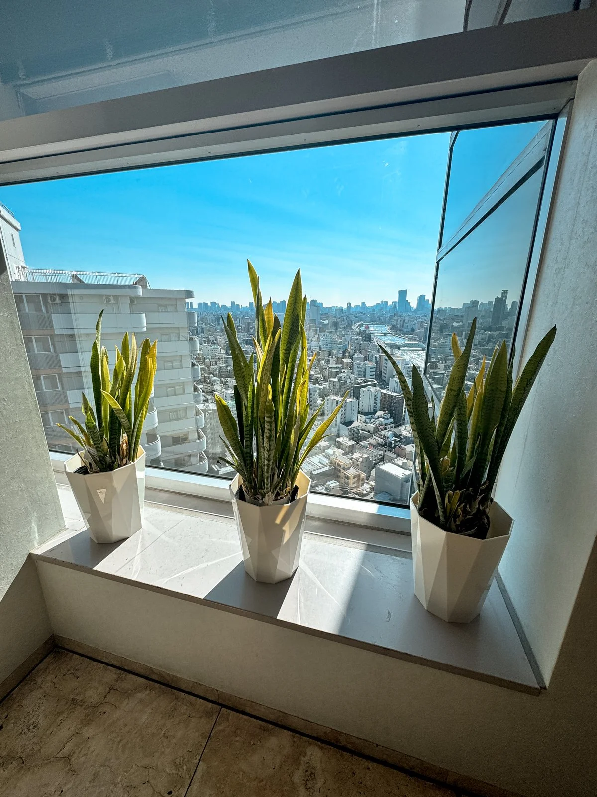 2026 JAPAN FAMILY-65.jpg