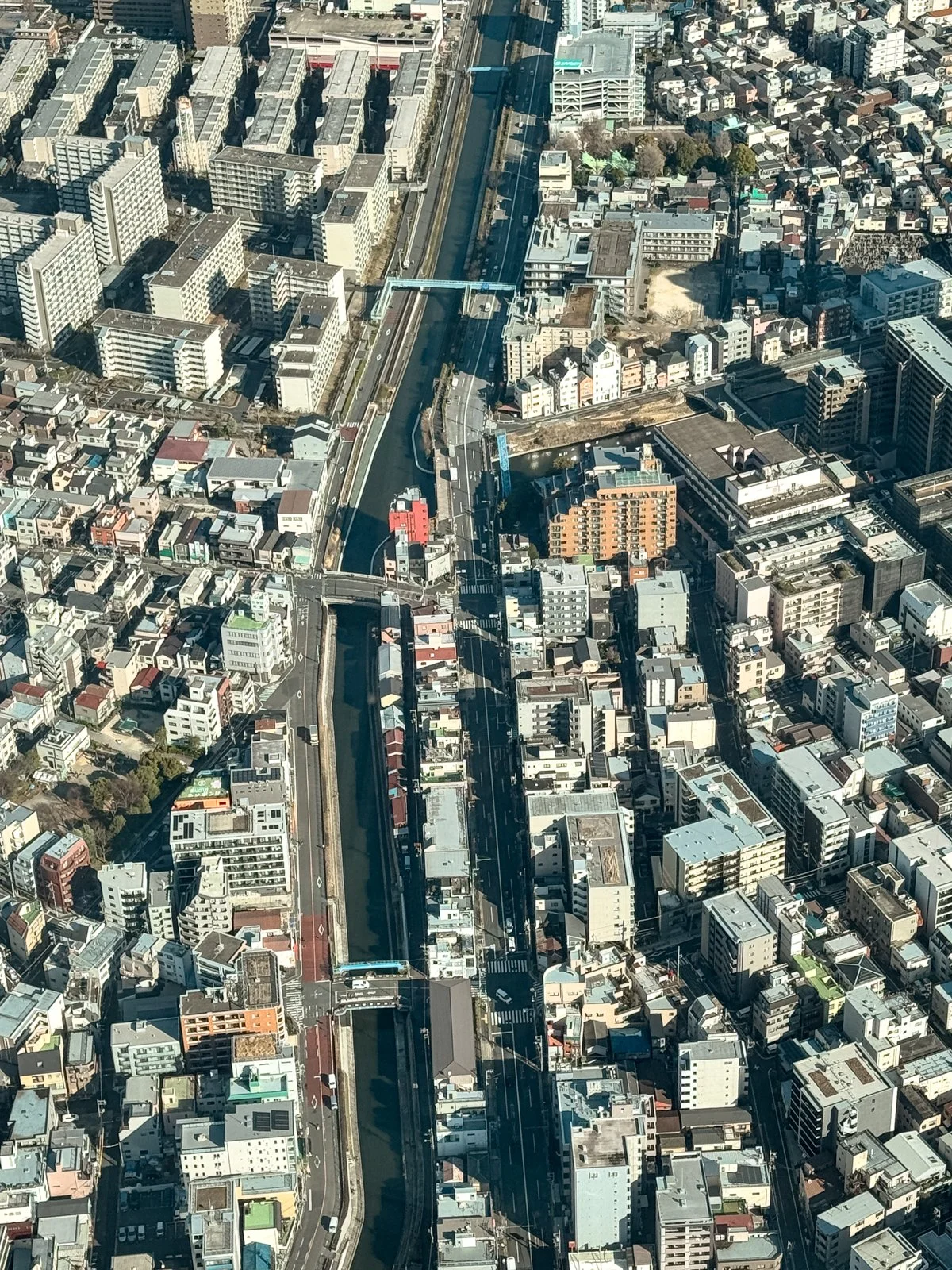 2026 JAPAN FAMILY-68.jpg