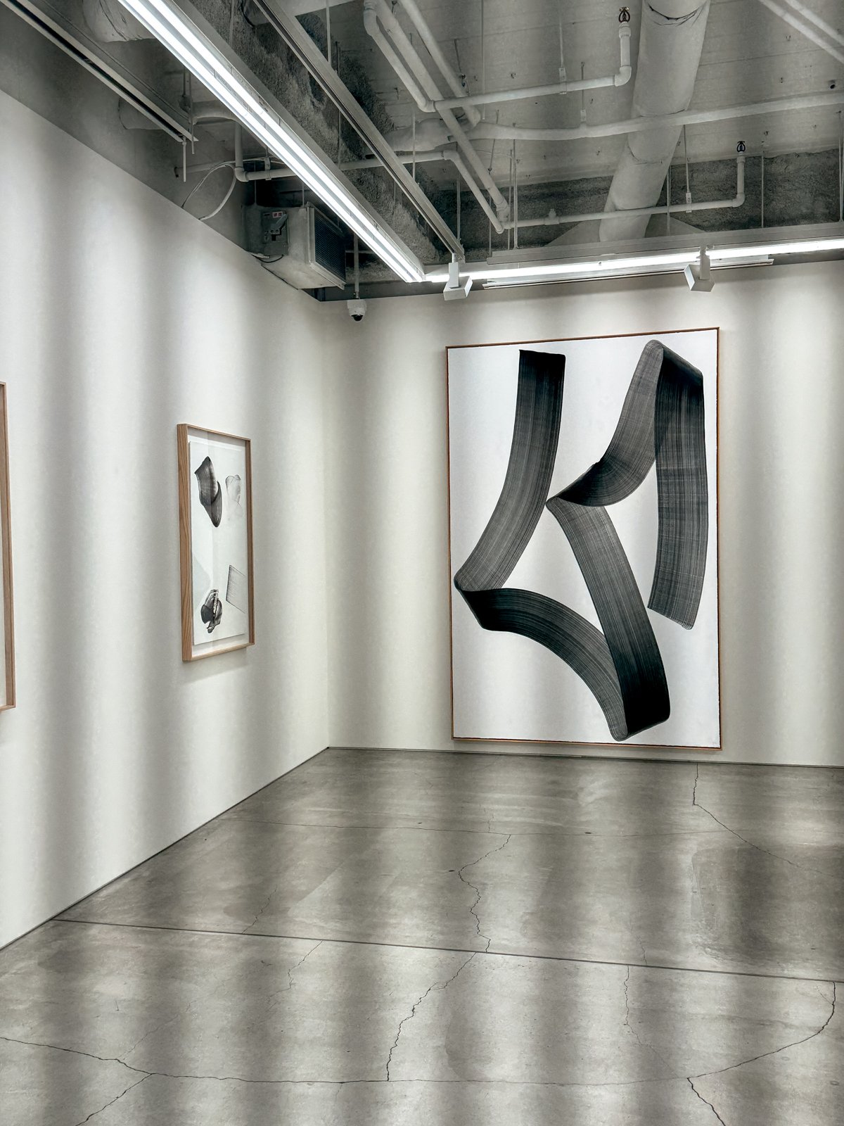 2026 JAPAN FAMILY-73.jpg