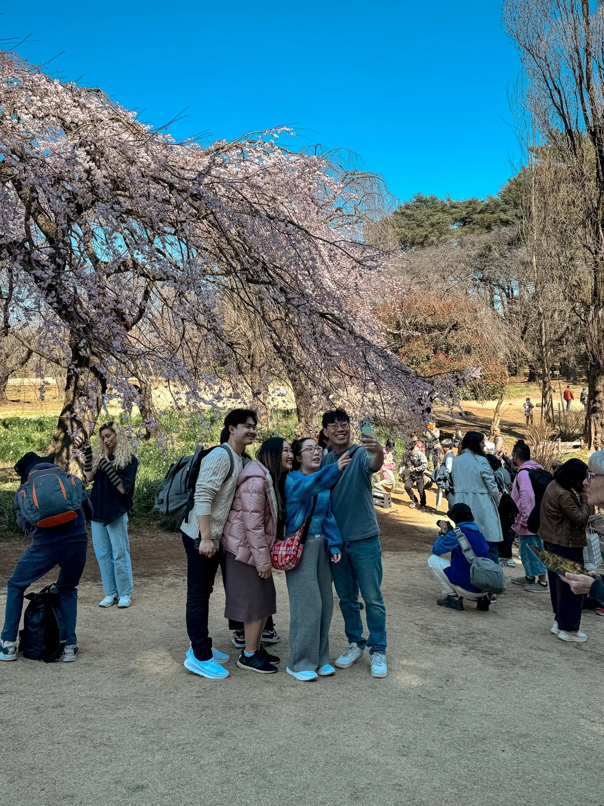 2026 JAPAN FAMILY-106.jpg