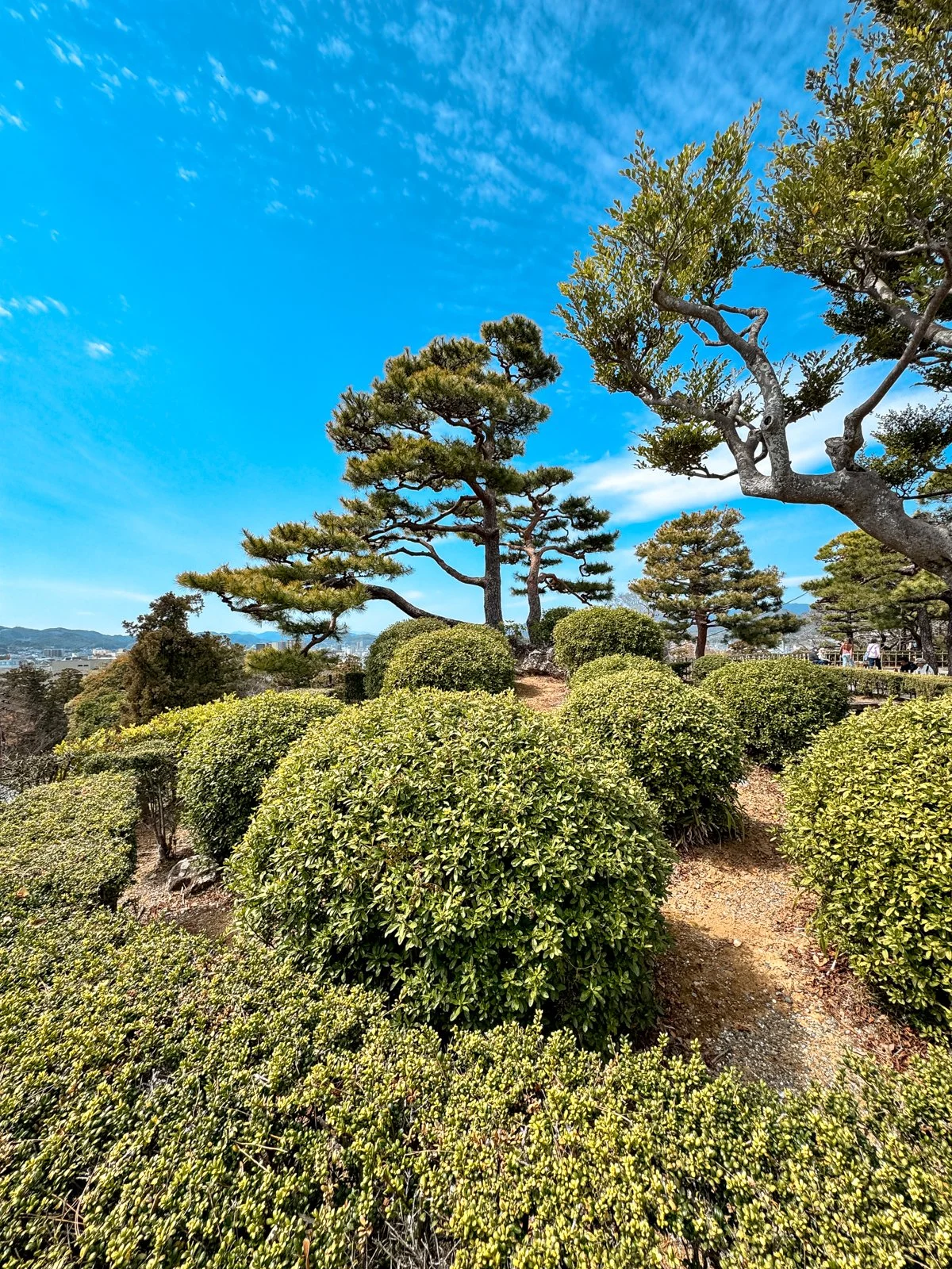 2026 JAPAN FAMILY-143.jpg