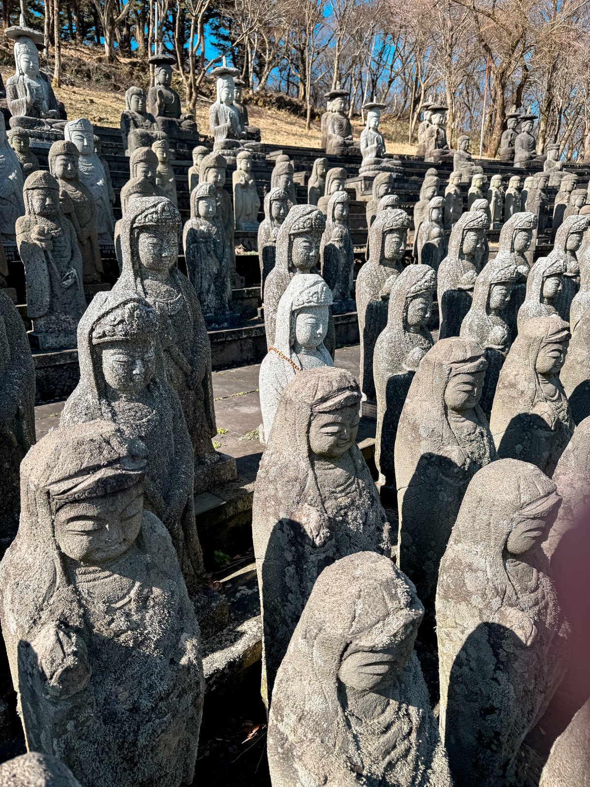 2026 JAPAN FAMILY-155.jpg