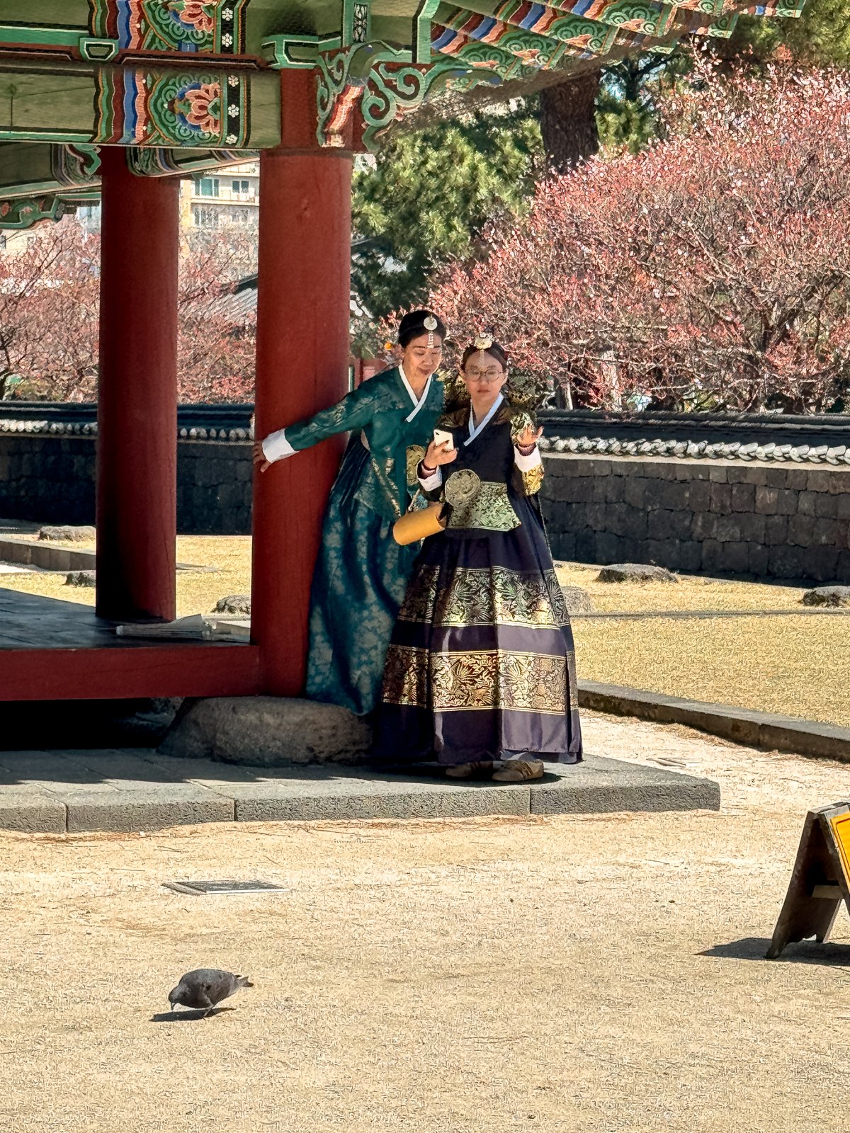 2026 JAPAN FAMILY-160.jpg