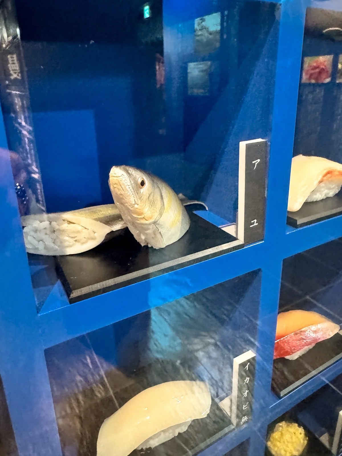 2026 JAPAN FAMILY-178.jpg