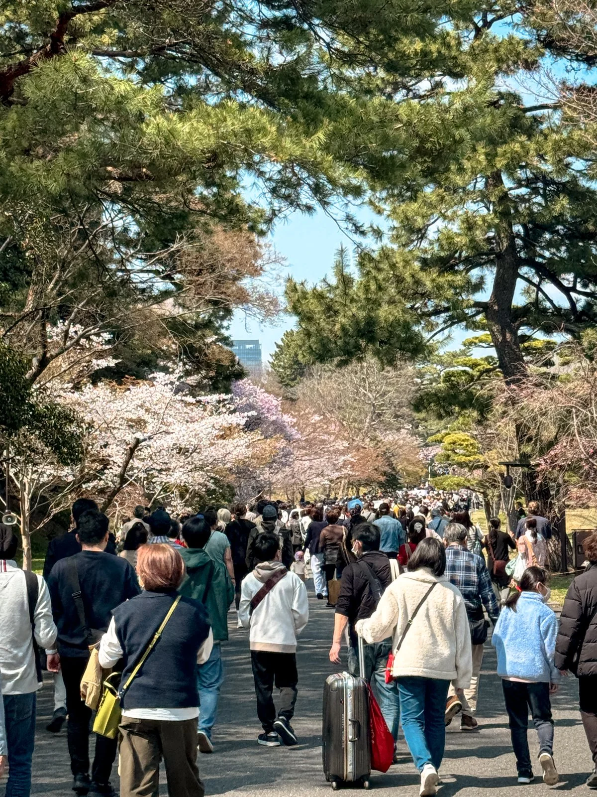 2026 JAPAN FAMILY-189.jpg