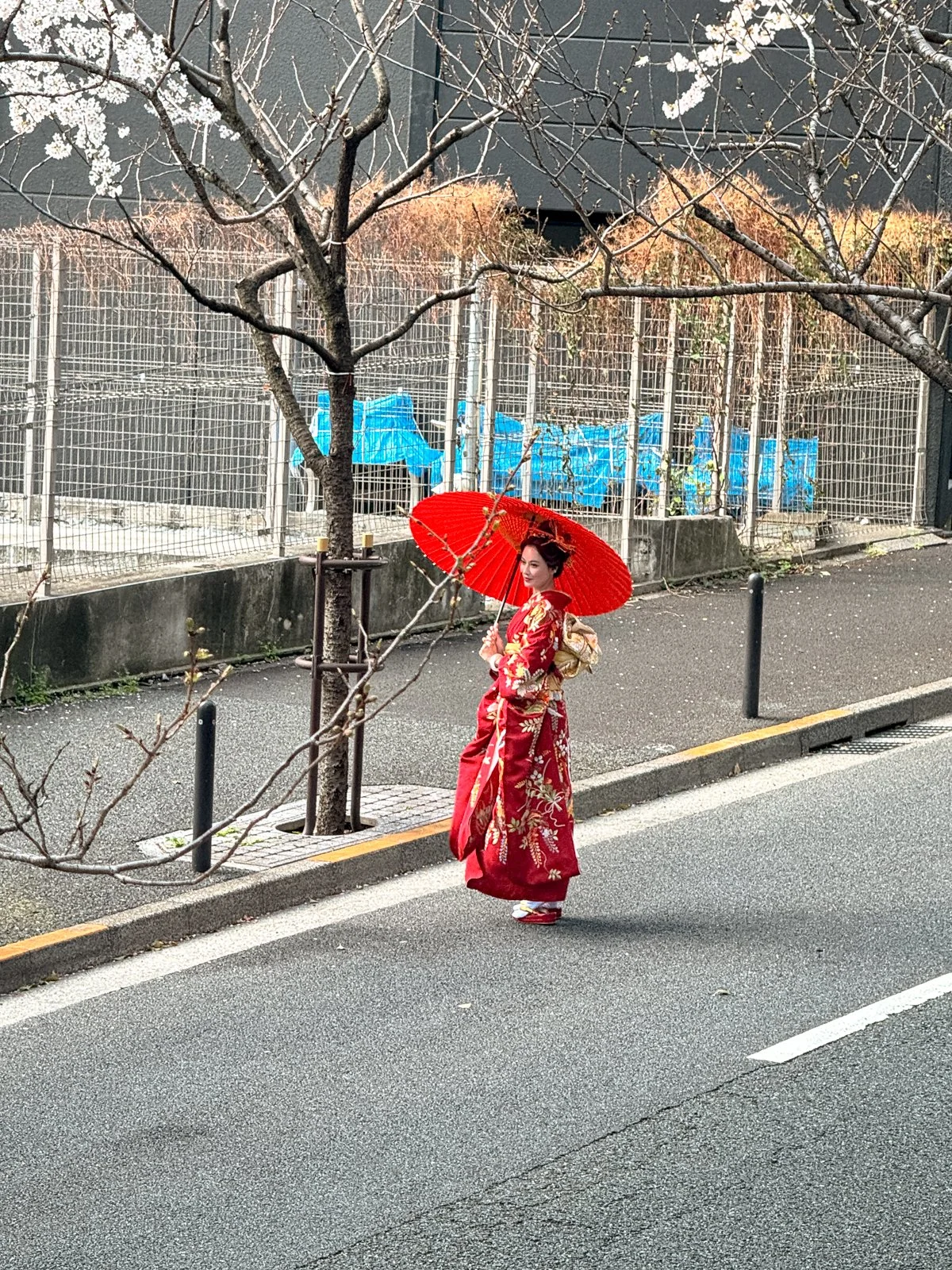 2026 JAPAN FAMILY-198.jpg