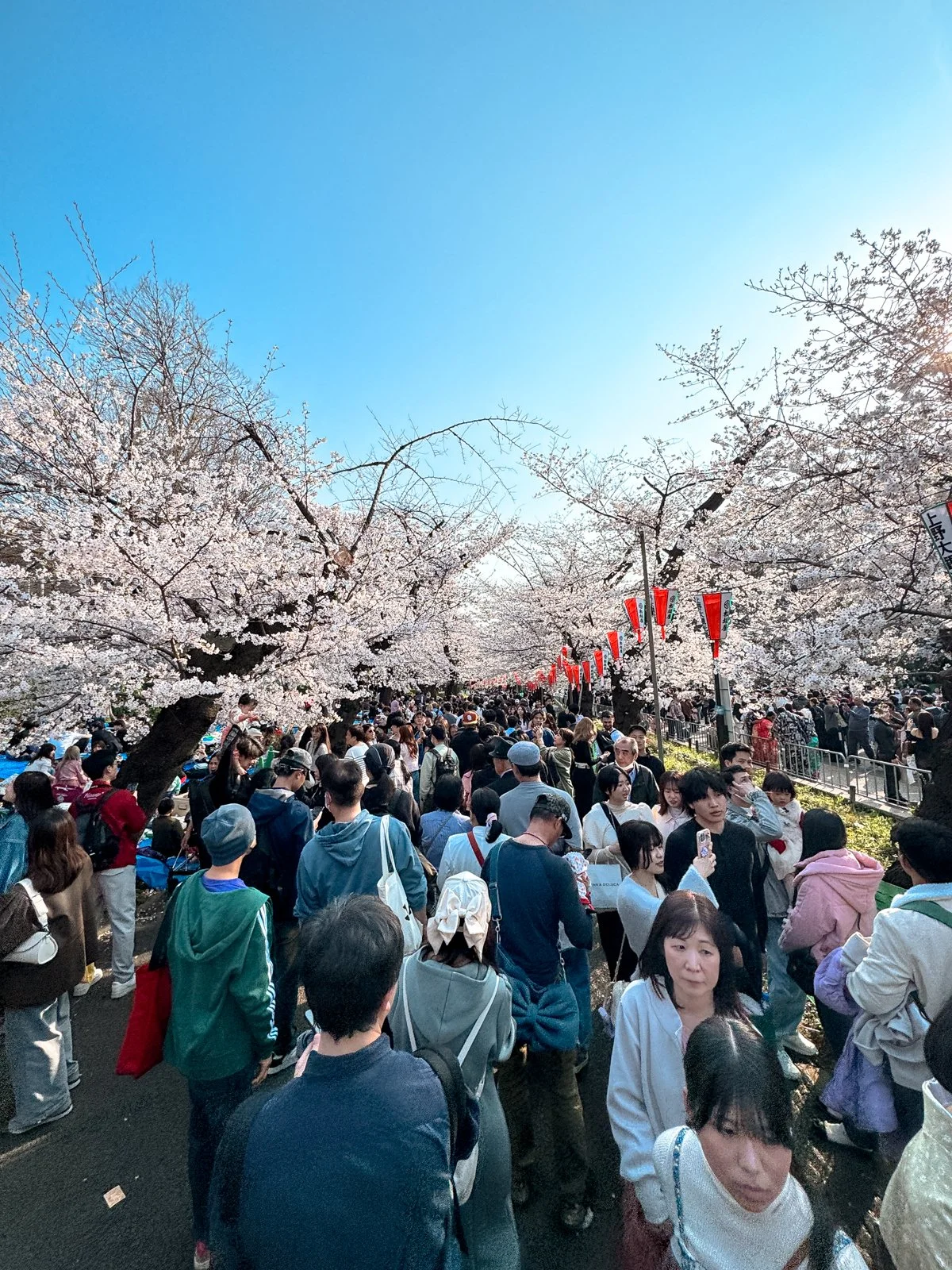 2026 JAPAN FAMILY-218.jpg