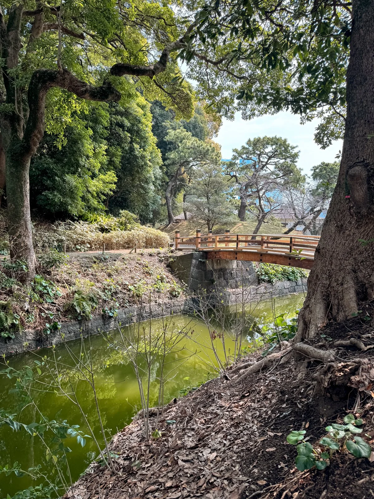 2026 JAPAN FAMILY-232.jpg