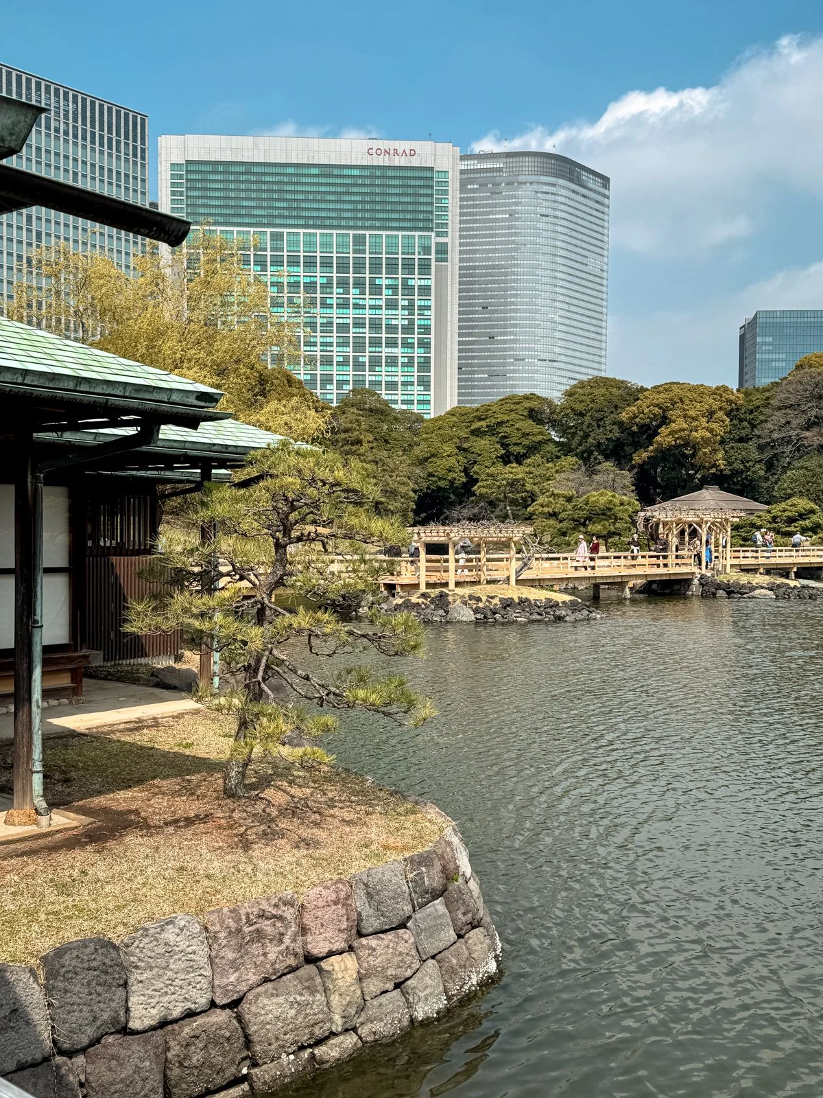 2026 JAPAN FAMILY-233.jpg