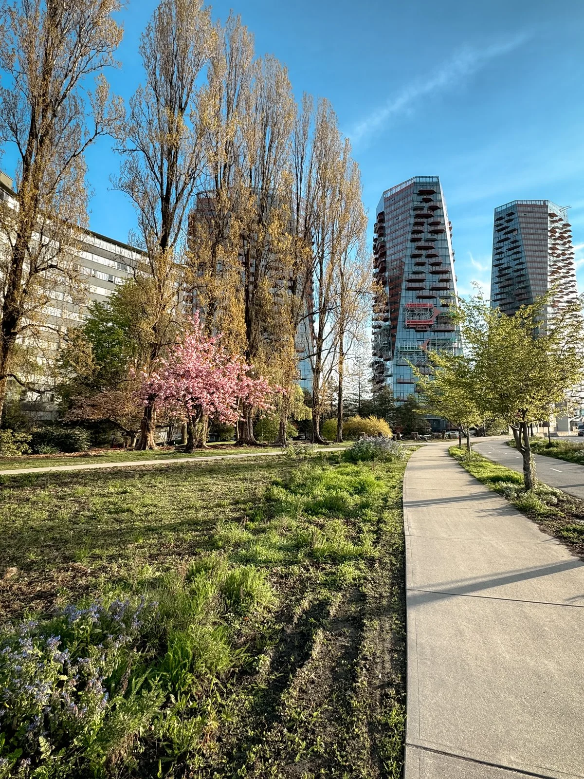 2026 Vancouver Spring-7.jpg