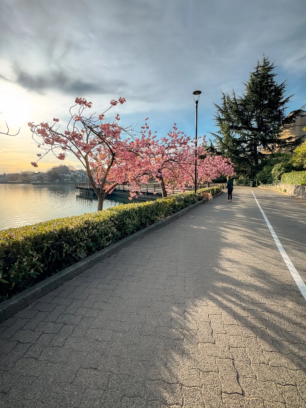 2026 Vancouver Spring-11.jpg