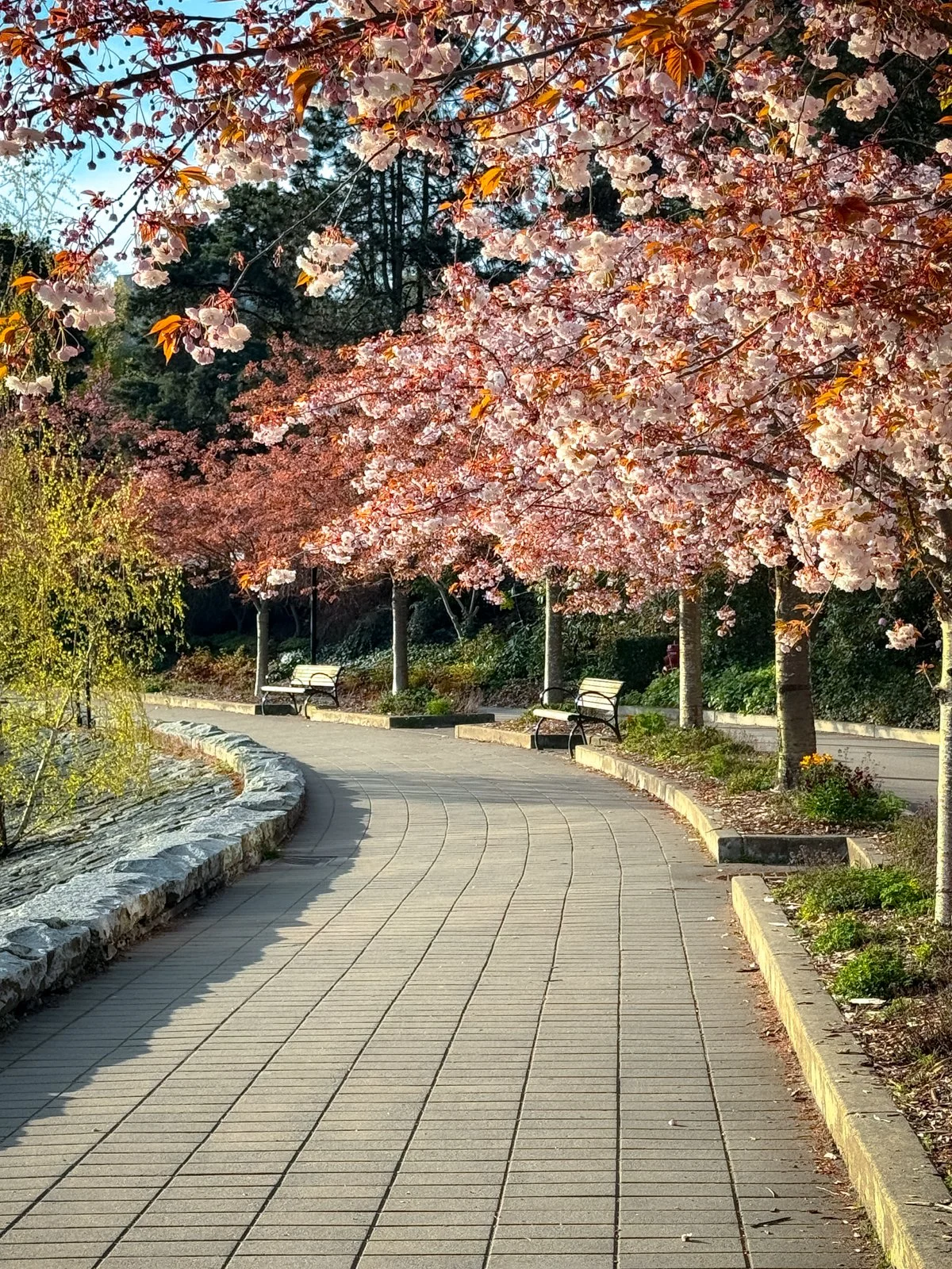 2026 Vancouver Spring-12.jpg