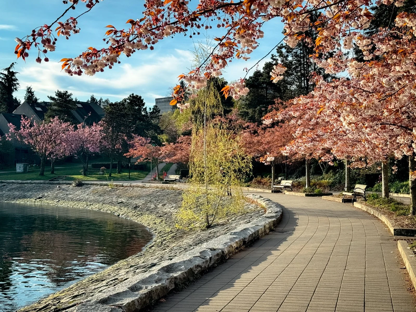 2026 Vancouver Spring-13.jpg
