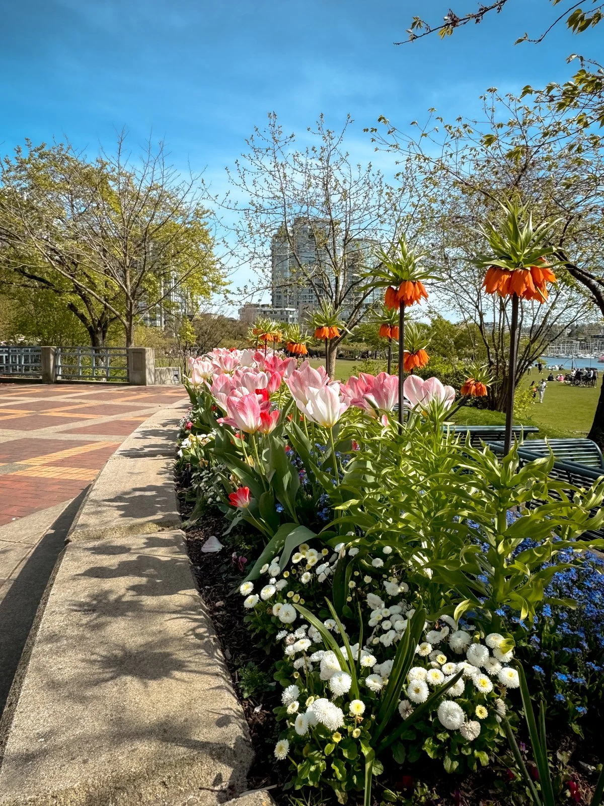 2026 Vancouver Spring-22.jpg