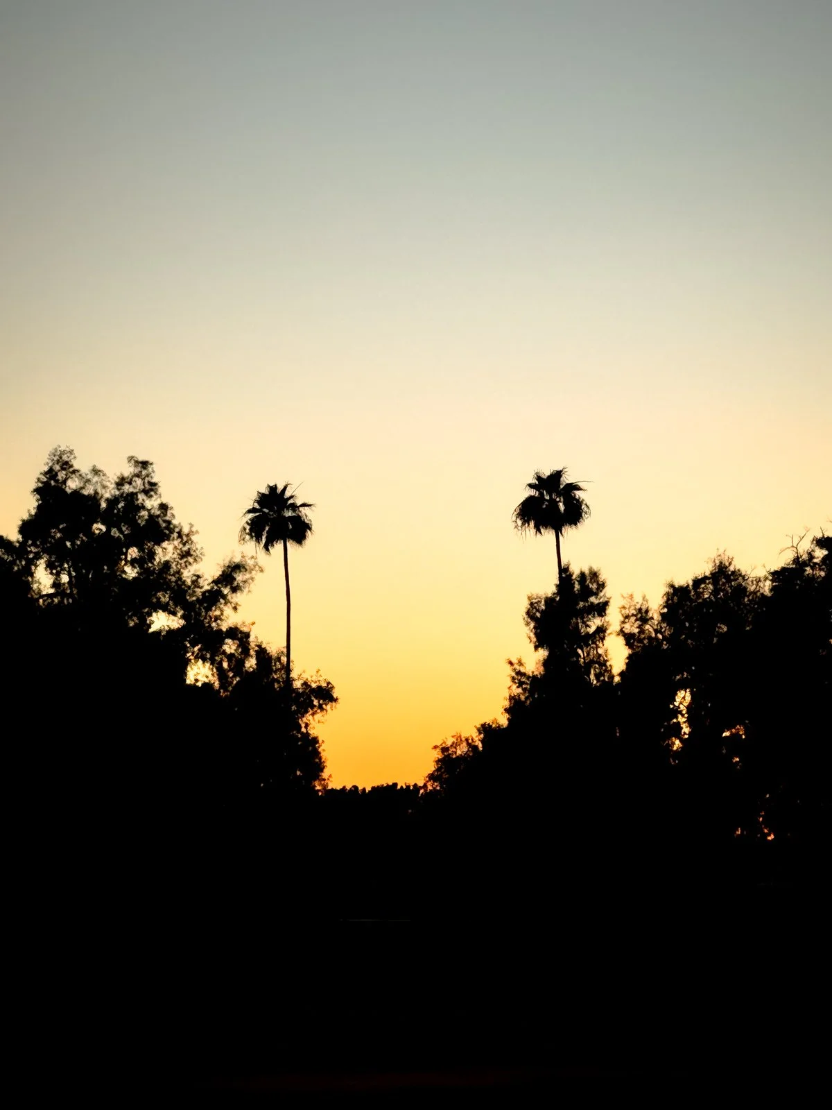 2026 CHANDLER-23.jpg