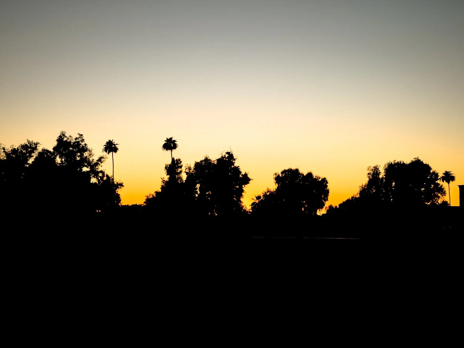 2026 CHANDLER-24.jpg