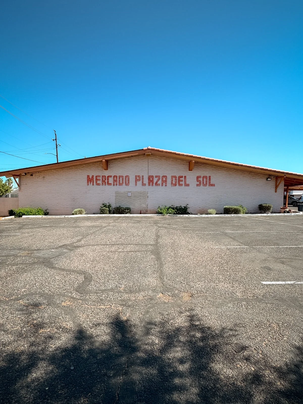 2026 CHANDLER-51.jpg