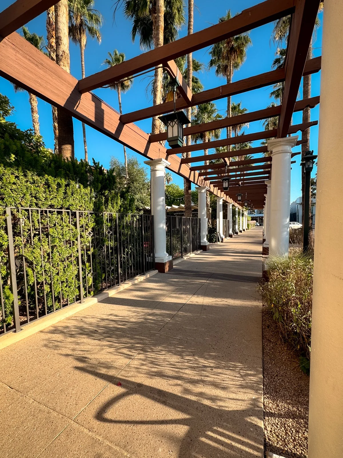2026 CHANDLER-53.jpg