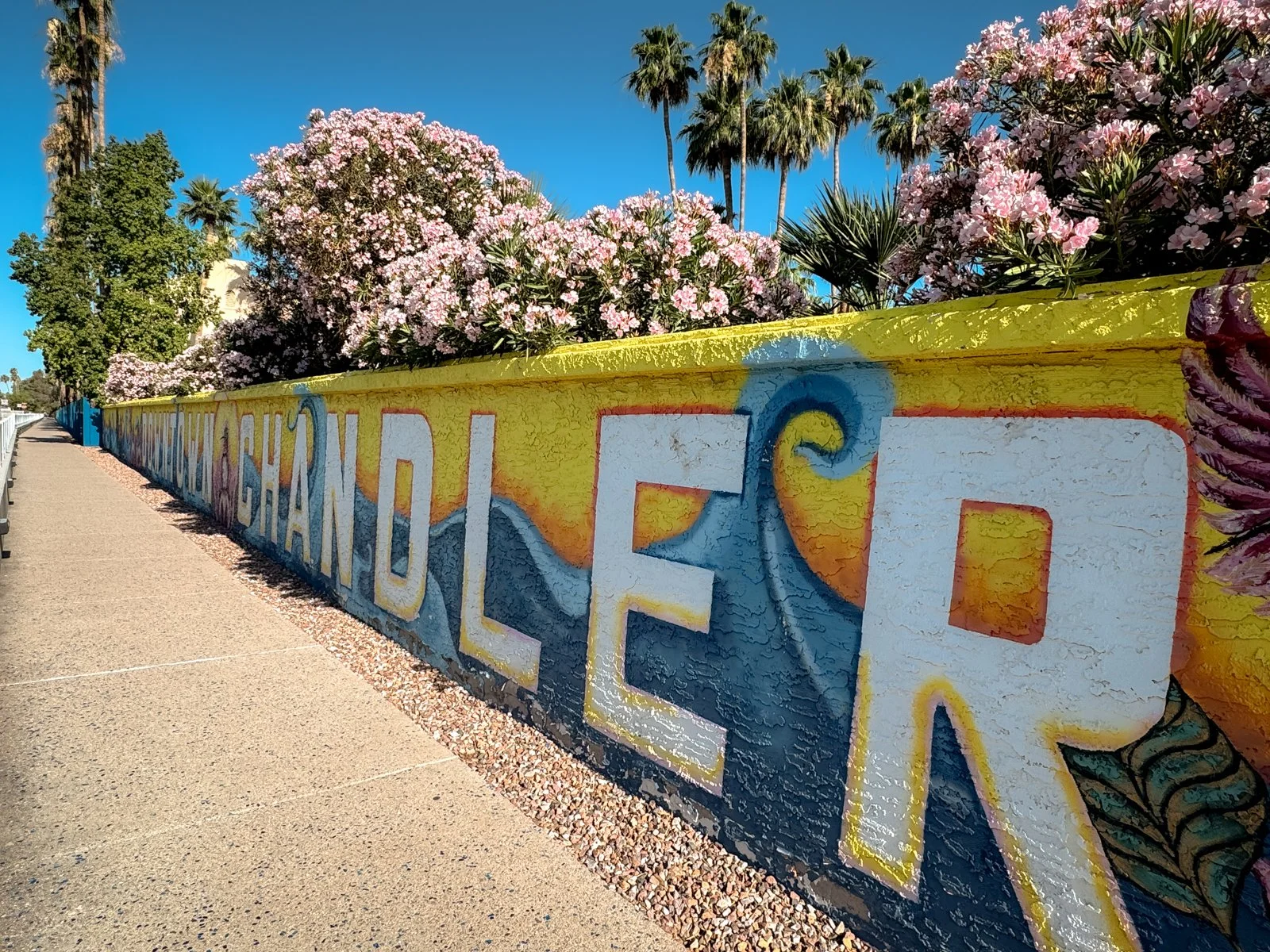 2026 CHANDLER-67.jpg