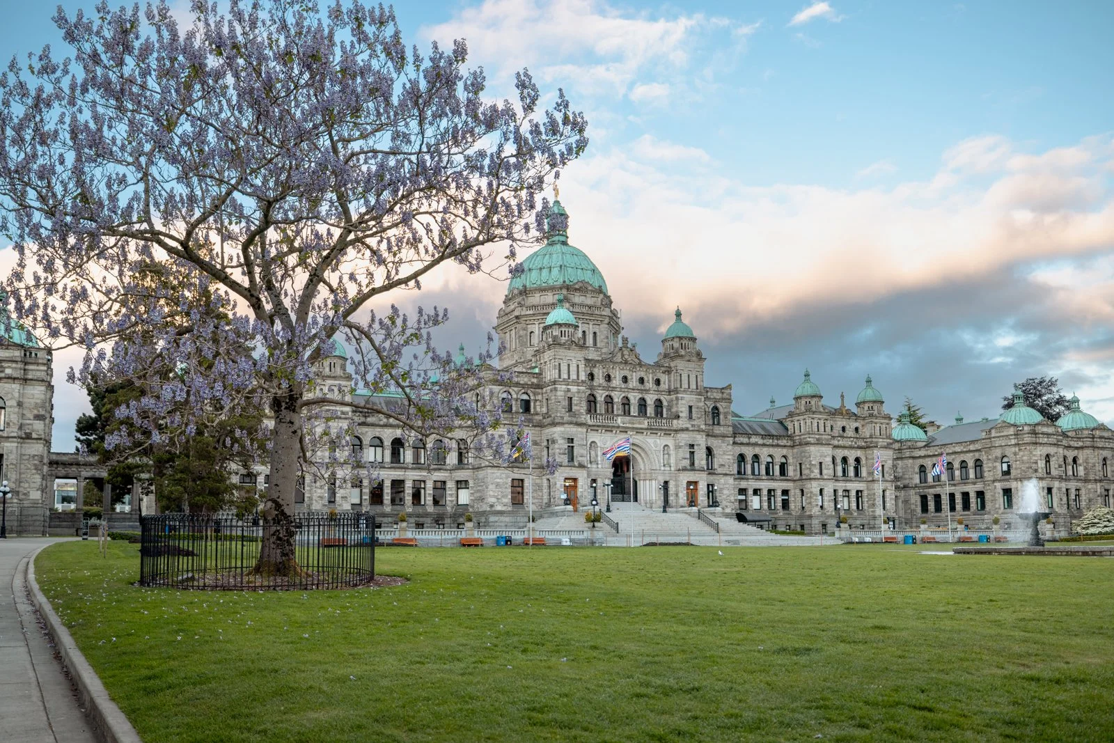 2026 VICTORIA-11.jpg