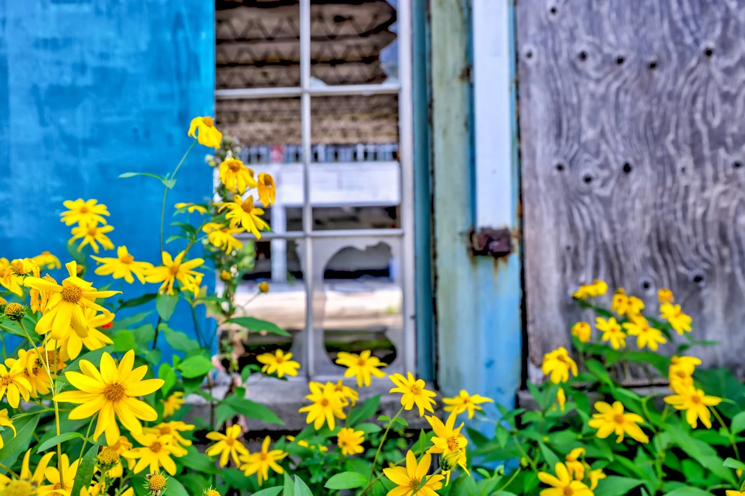 2021 OTTAWA GANANOQUE-7.jpg