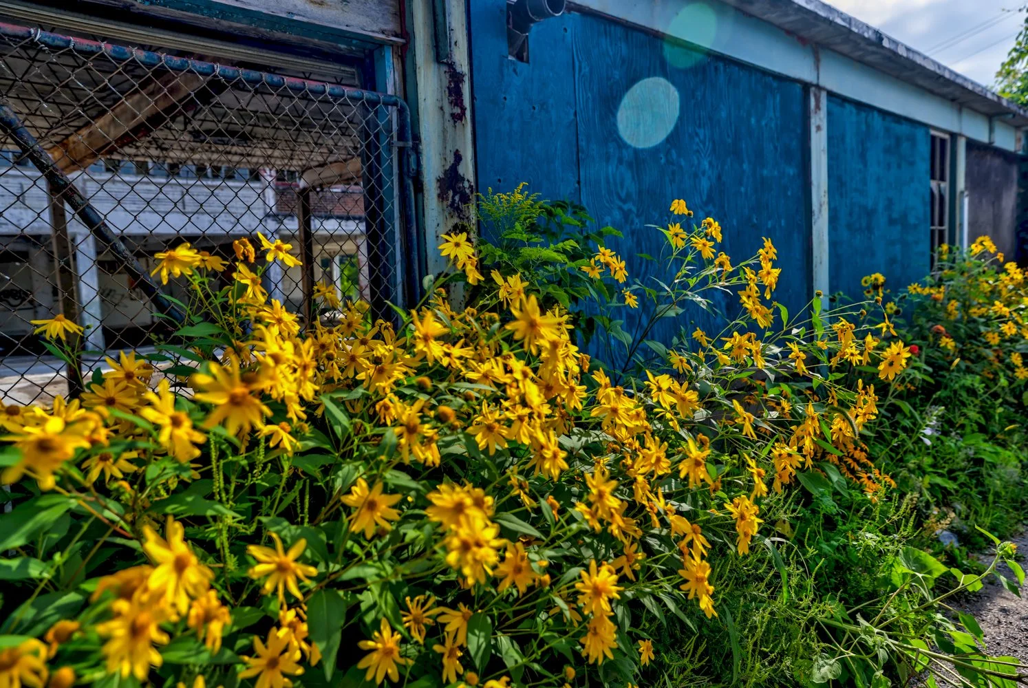 2021 OTTAWA GANANOQUE-11.jpg