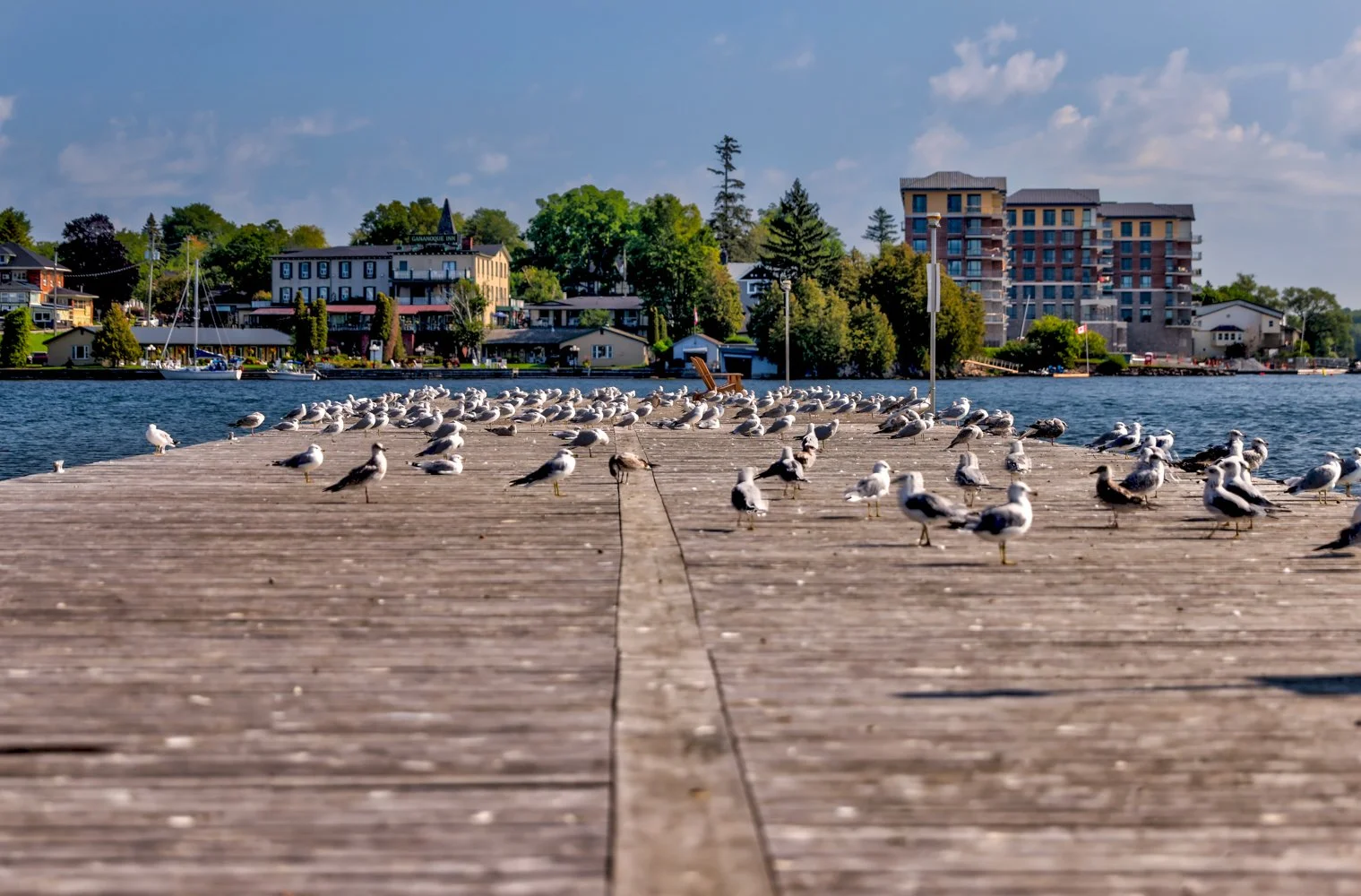 2021 OTTAWA GANANOQUE-15.jpg