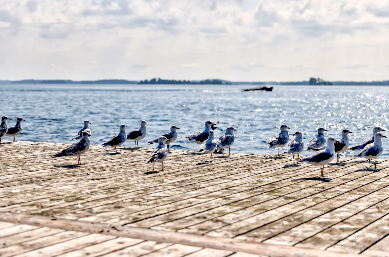2021 OTTAWA GANANOQUE-17.jpg