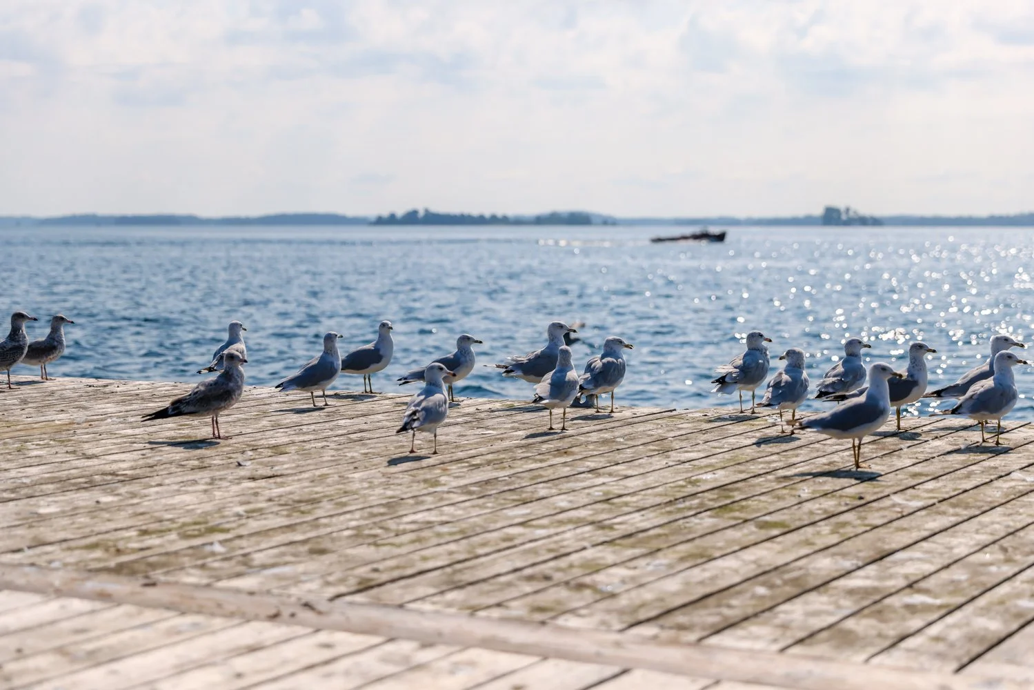 2021 OTTAWA GANANOQUE-18.jpg