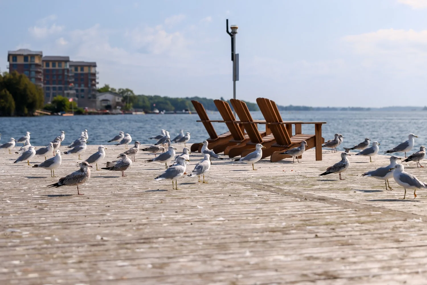 2021 OTTAWA GANANOQUE-19.jpg