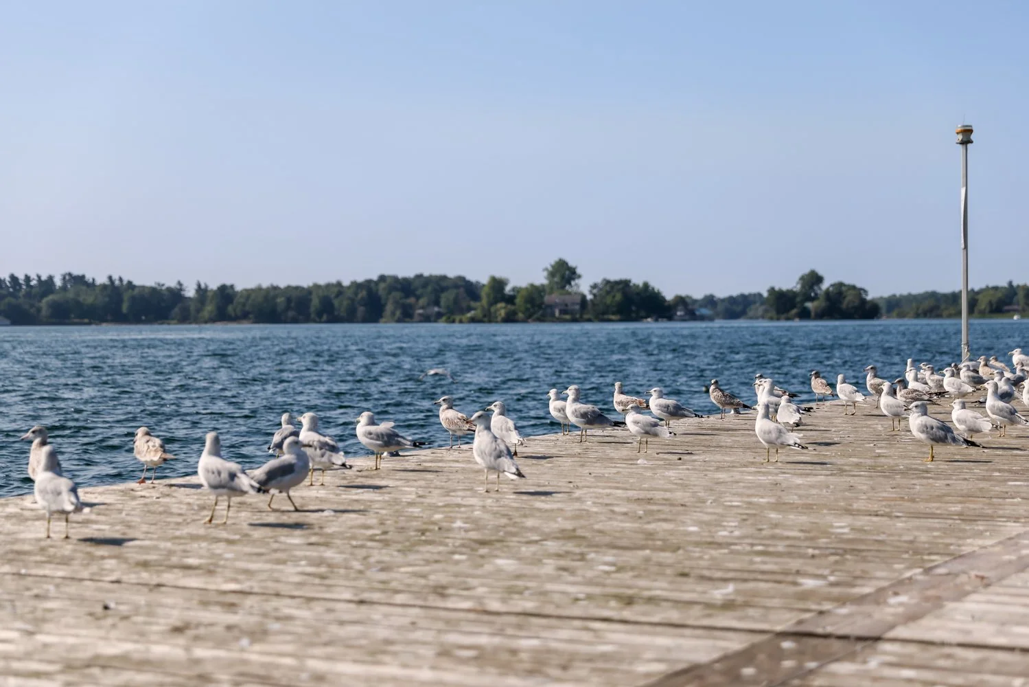 2021 OTTAWA GANANOQUE-20.jpg