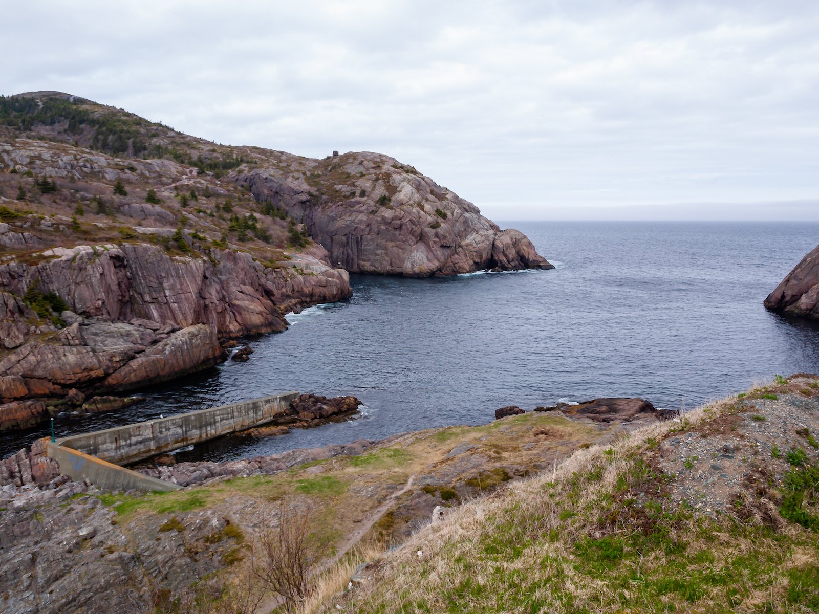 2009 Newfoundland 2020 edit 1.JPG