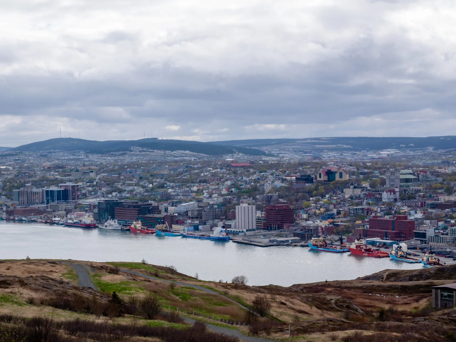 2009 Newfoundland 2020 edit-5.JPG
