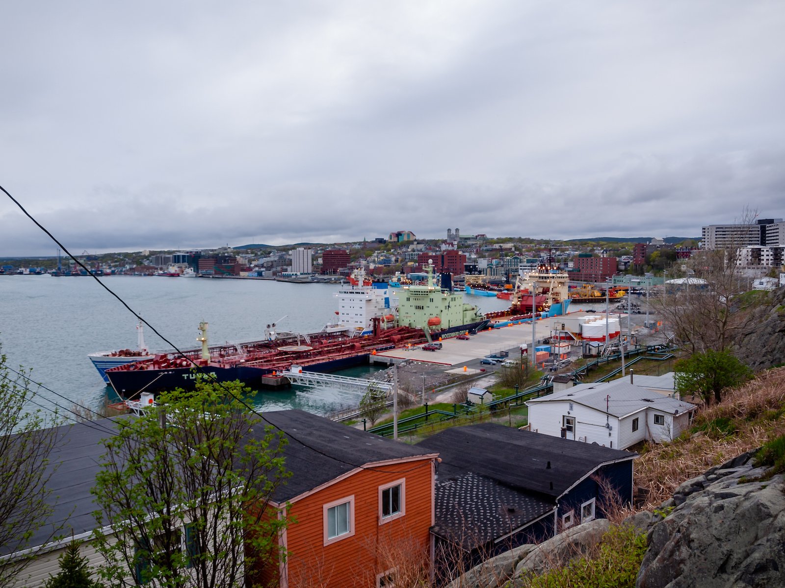 2009 Newfoundland 2020 edit-43.JPG