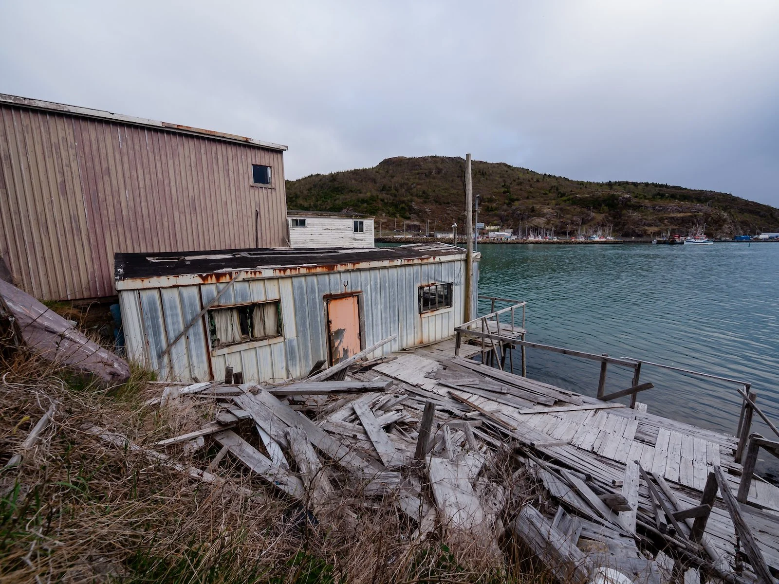 2009 Newfoundland 2020 edit-47.JPG