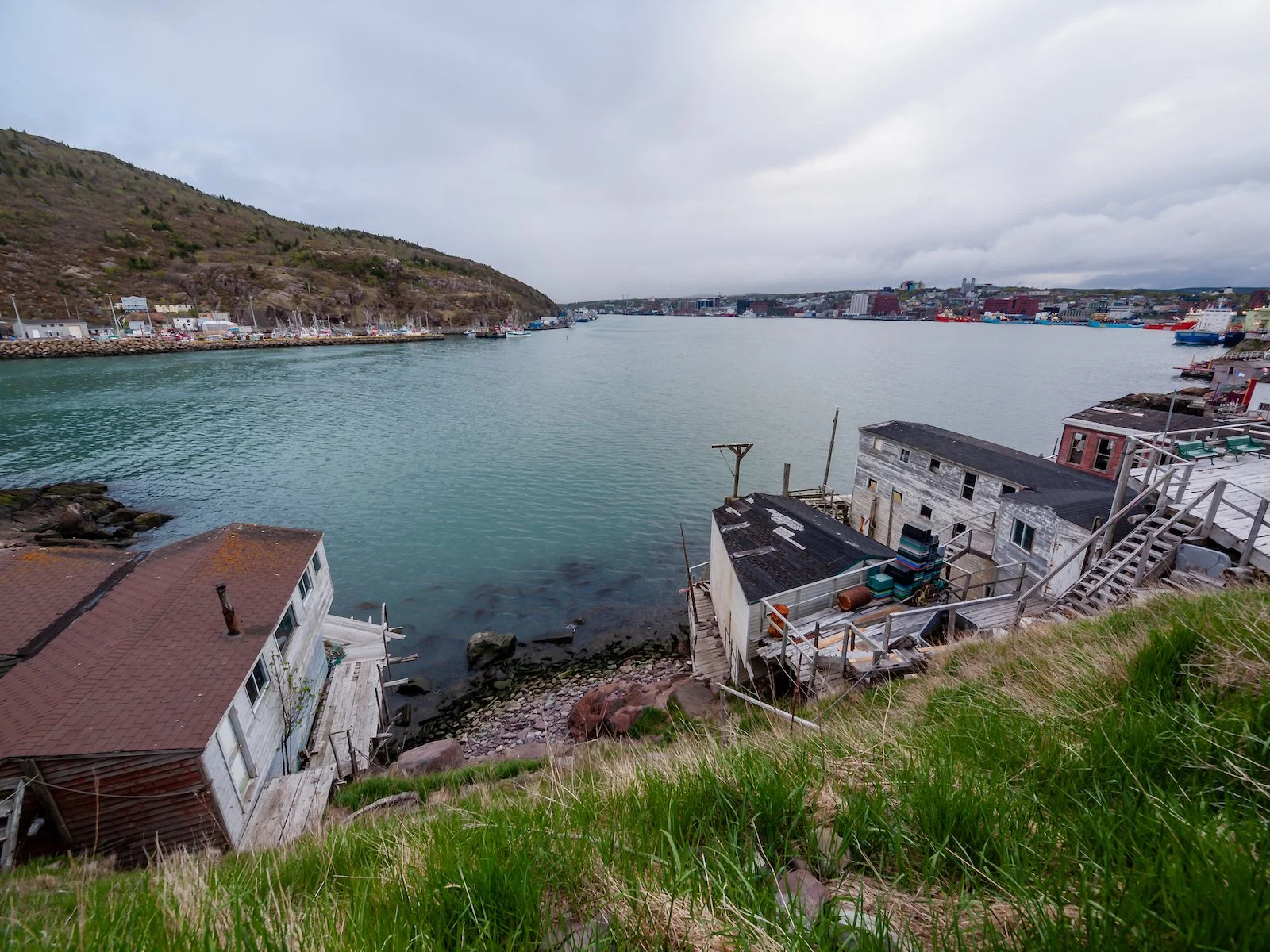 2009 Newfoundland 2020 edit-48.JPG