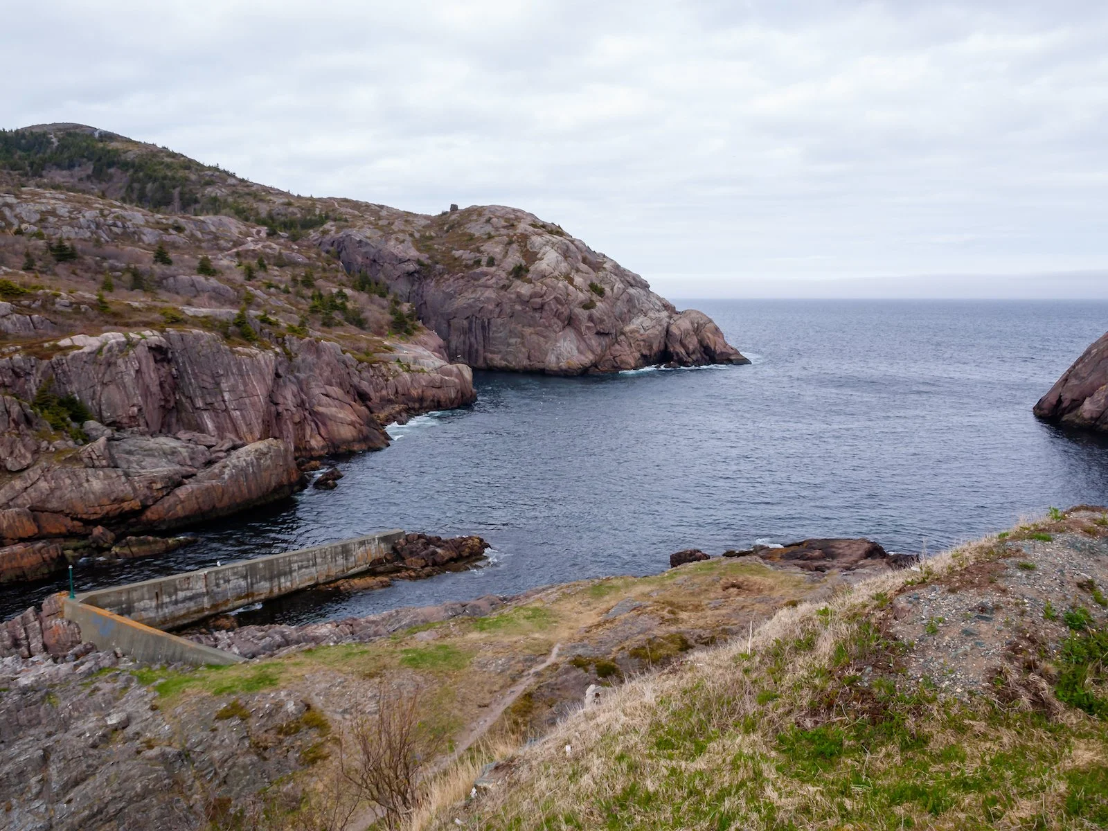 2009 Newfoundland 2020 edit.JPG