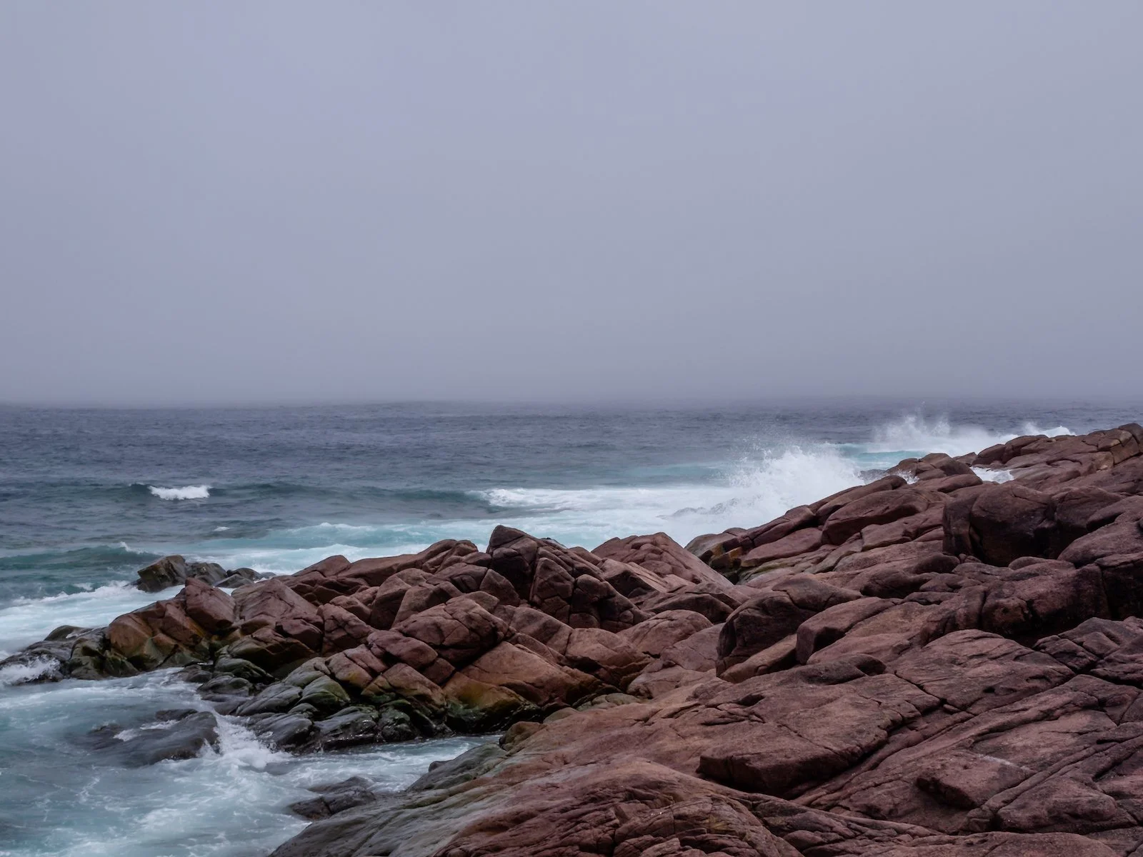 2009 Newfoundland 2020 edit-30.JPG