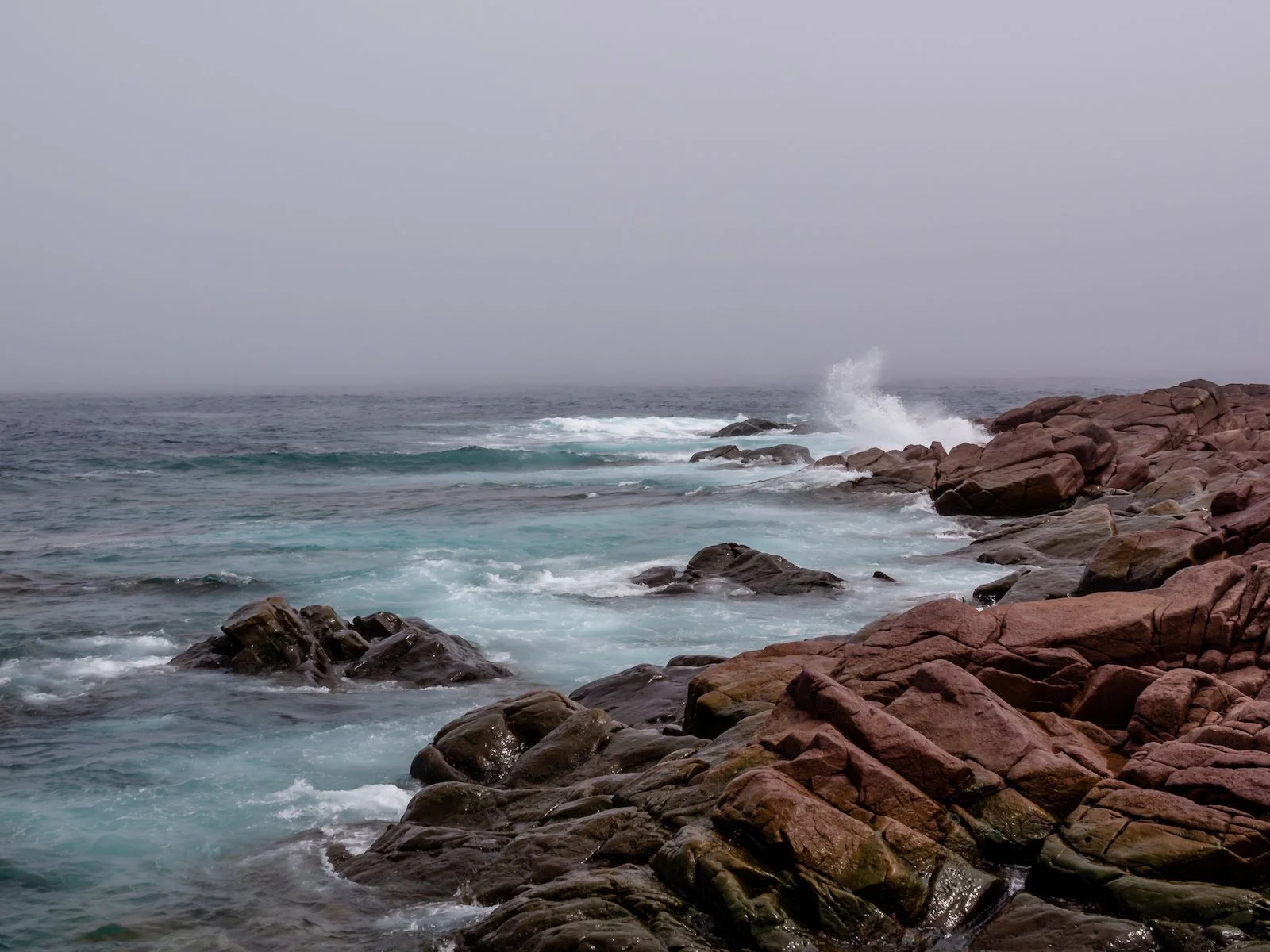 2009 Newfoundland 2020 edit-31.JPG