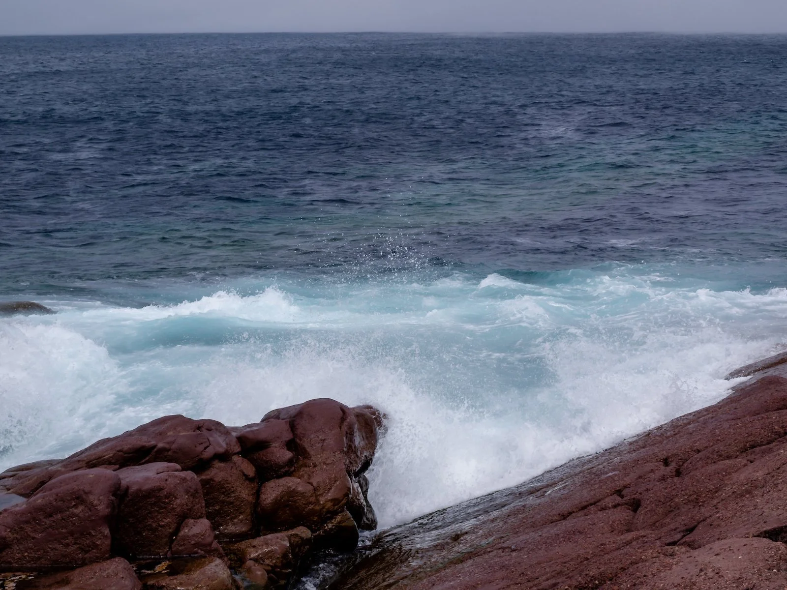 2009 Newfoundland 2020 edit-34.JPG