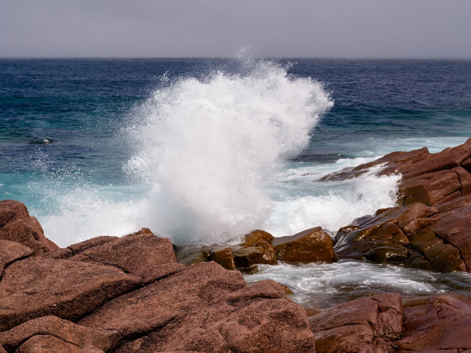 2009 Newfoundland 2020 edit-38.JPG