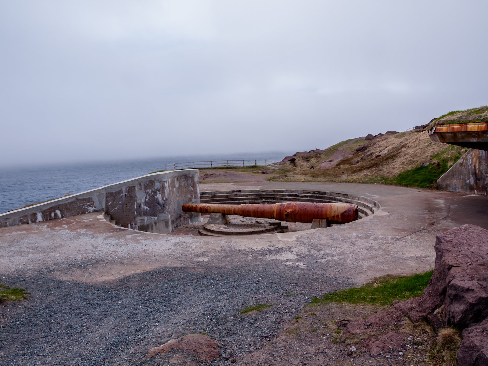 2009 Newfoundland 2020 edit-40.JPG