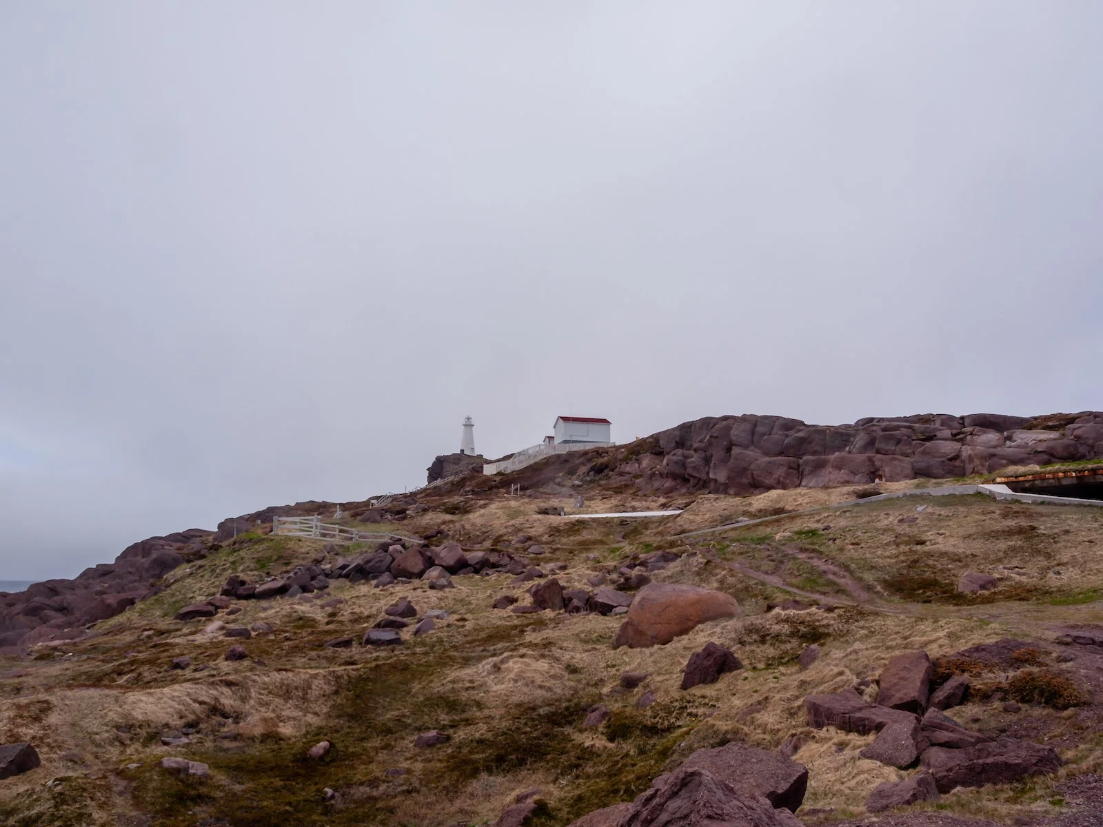 2009 Newfoundland 2020 edit-41.JPG