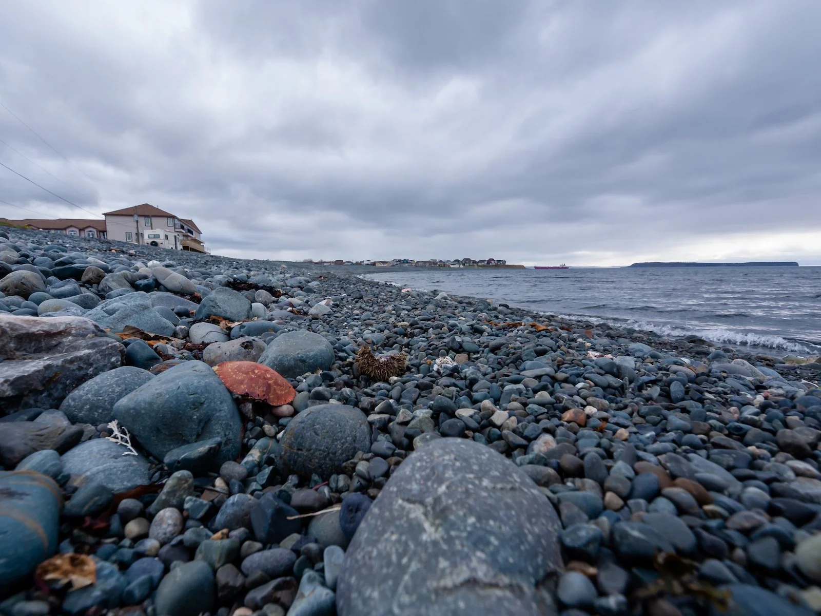 2009 Newfoundland 2020 edit-11.JPG