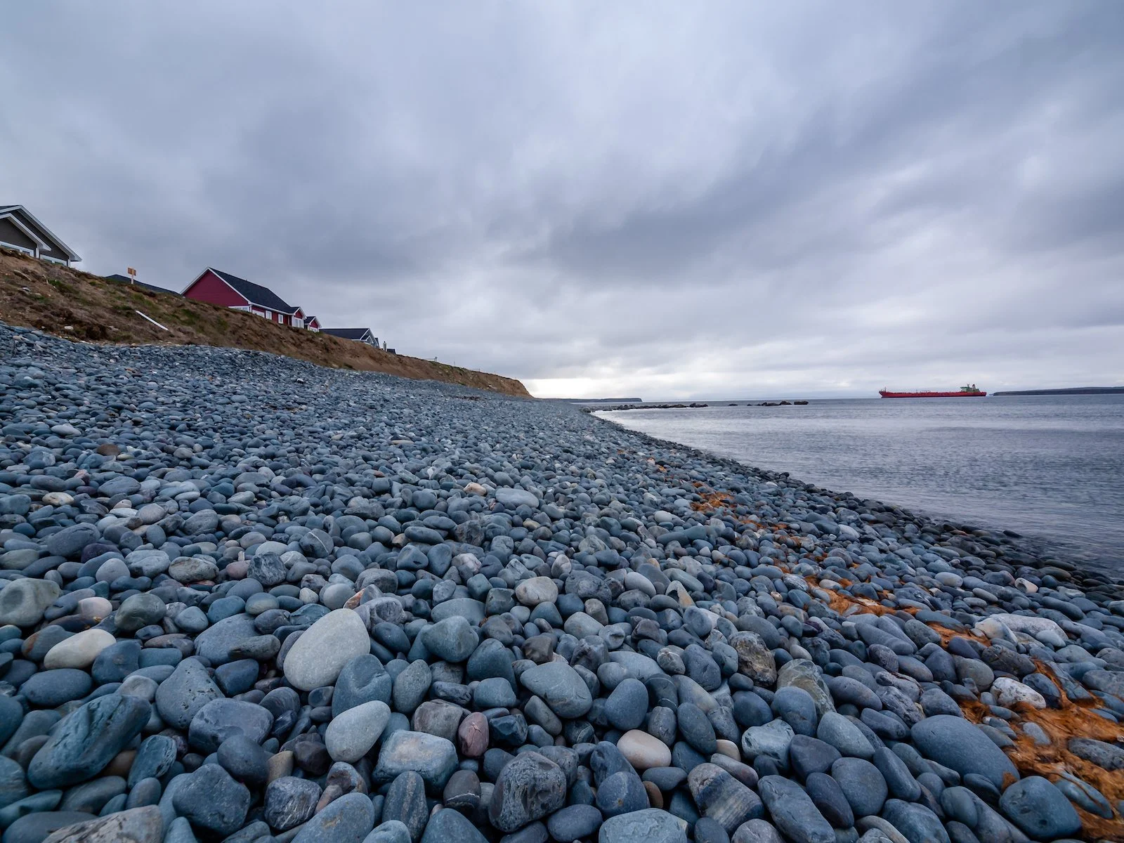 2009 Newfoundland 2020 edit-14.JPG
