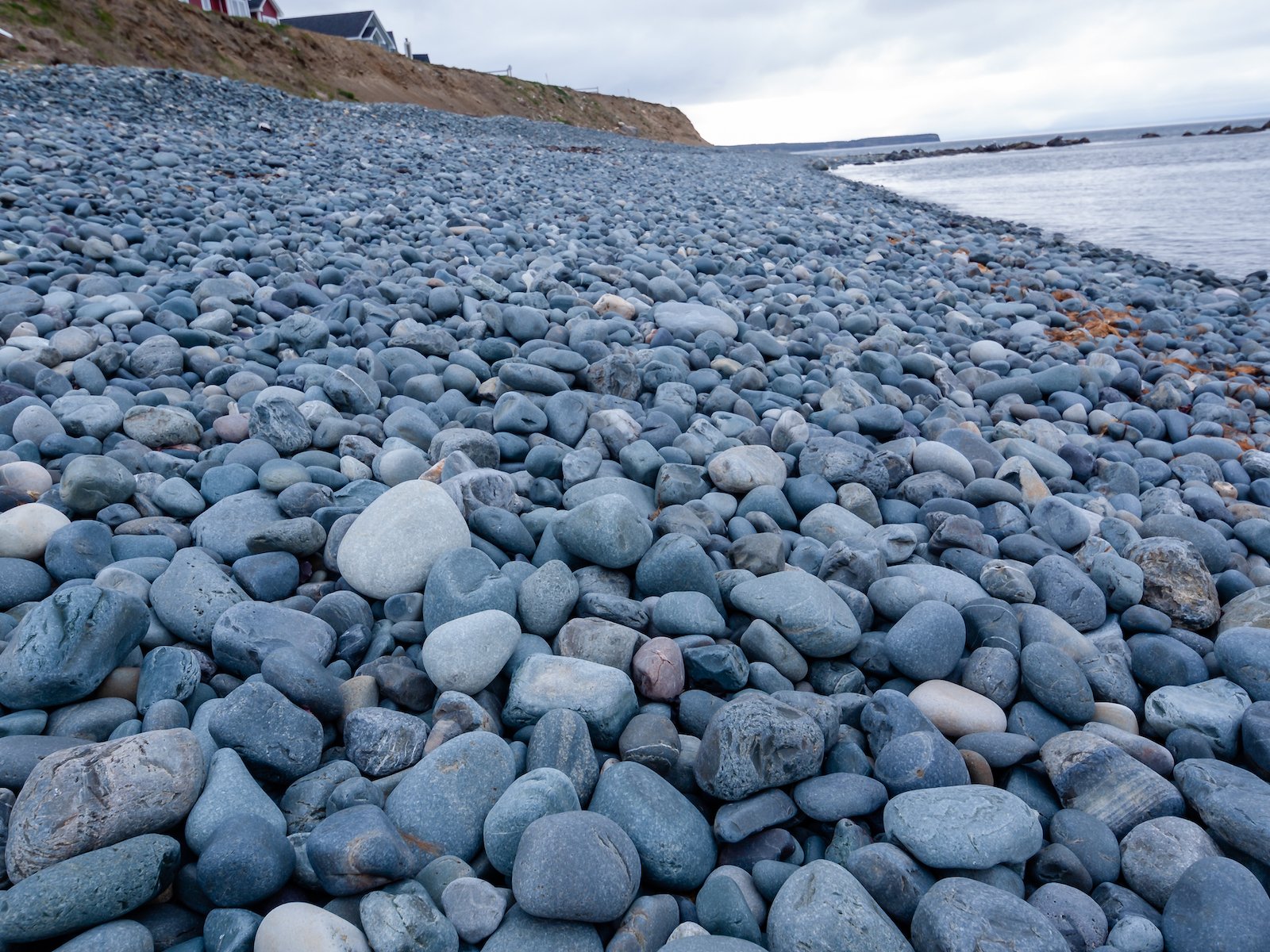 2009 Newfoundland 2020 edit-15.JPG