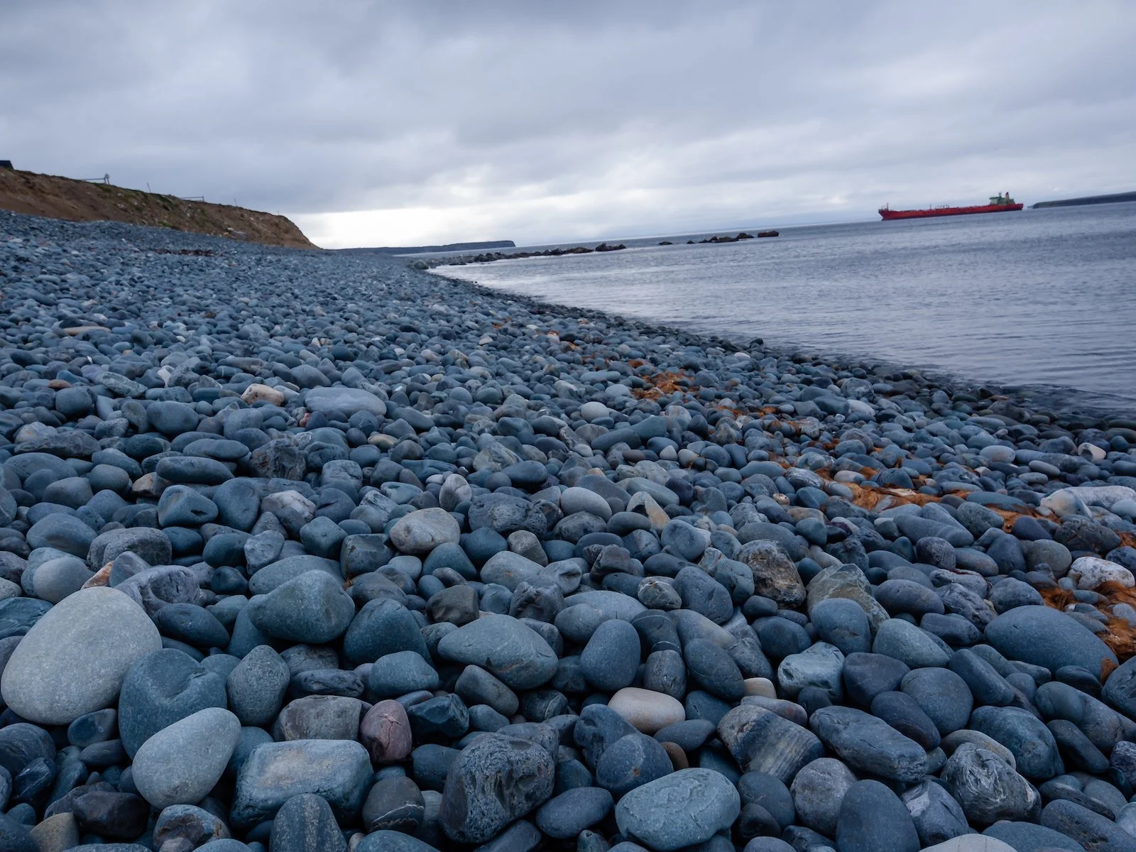 2009 Newfoundland 2020 edit-16.JPG