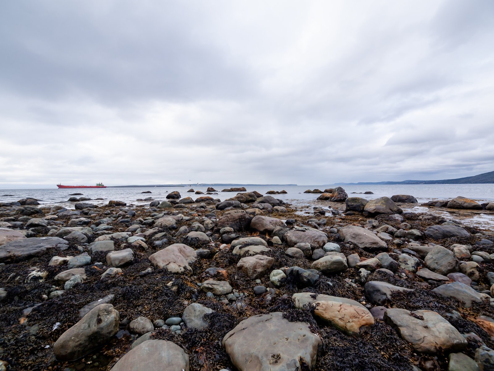 2009 Newfoundland 2020 edit-24.JPG