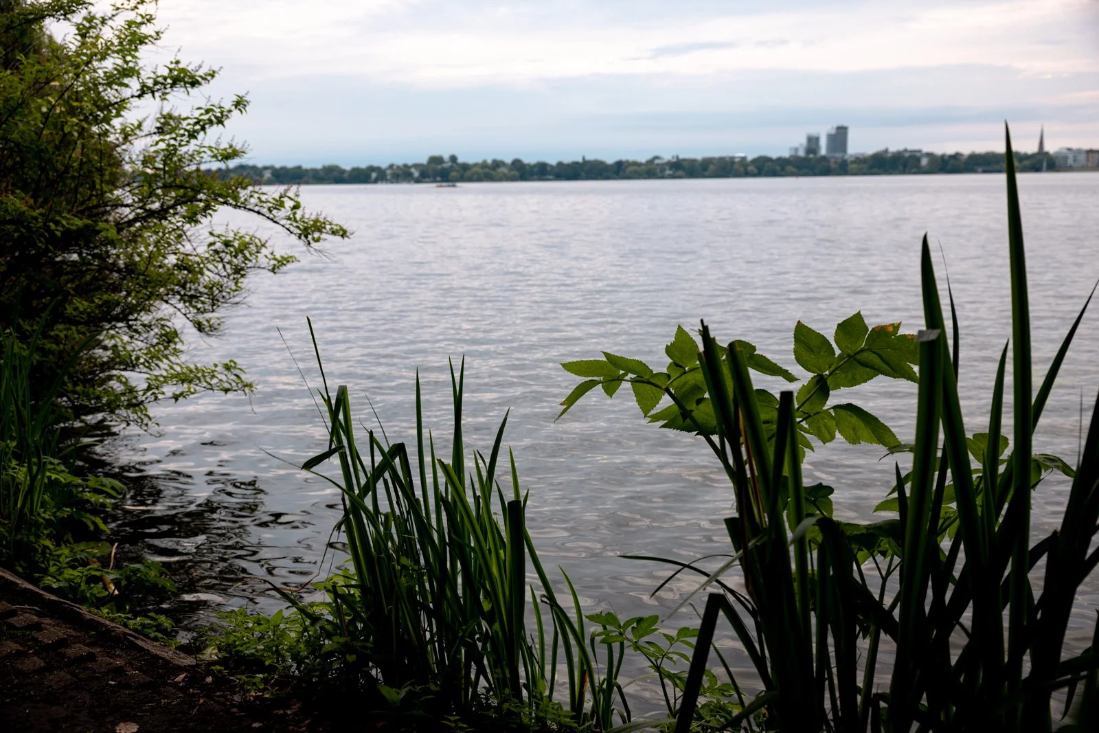 2026 HAMBURG ALSTER LAKES-45.jpg